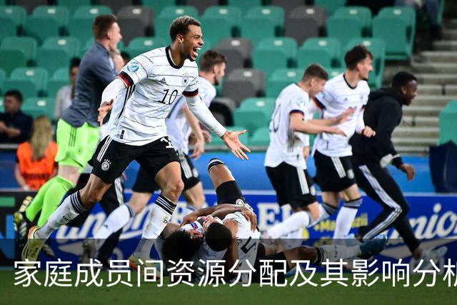 家庭成员间资源分配及其影响分析